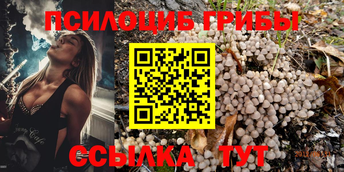 Псилоцибиновые грибы мицелий Лянтор